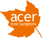 Acer Tree Surgeons Logo, Dentons Digital, Website Design Build, Wiltshire, Somerset
