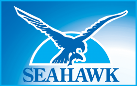 seahawk logo, Dentons Digital, Website Design Build, Wiltshire, Somerset